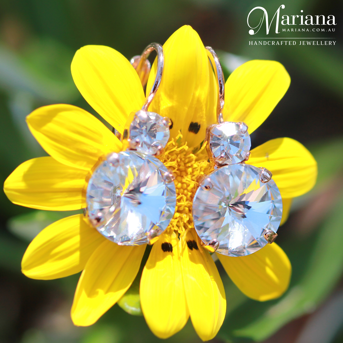 E-1037R 001001 - Image 2