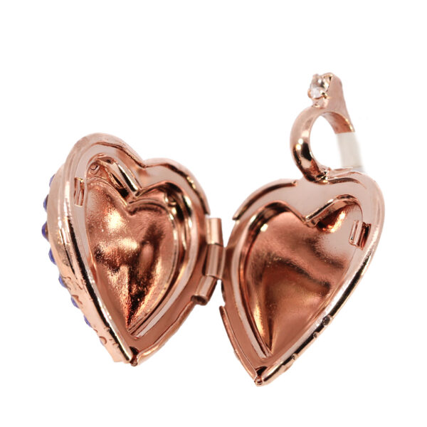 C-6007 (Charm) - Image 3